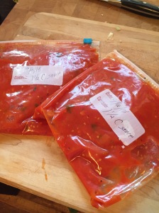 tomato sauce 008
