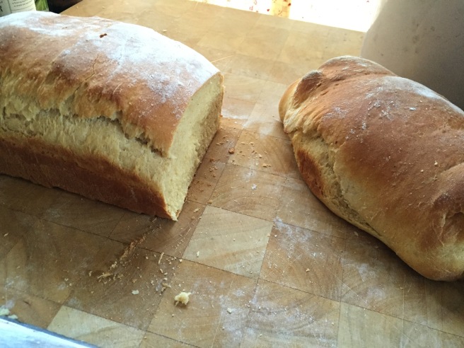 wholewheatbuttermilk bread 021